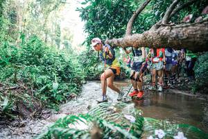 BIB: 
                            <button type="button" onclick="openModal(25470251)" class="btn btn-primary btn-sm float-right btn-popup" data-toggle="modal" data-target=".modal-high-quality">
                        <i class="fas fa-shopping-cart"></i> Add to Cart
                    </button>
                                            <button type="button" onclick="isThisMe(25470251, true)" class="btn btn-success btn-sm float-right btn-popup btn-isme hidden" data-toggle="tooltip" data-placement="bottom" title="นี่คือรูปของคุณใช่ไหม คลิกที่นี่เพื่อเอาเข้าอัลบั้ม">
                        <i class="fas fa-plus"></i> Add to album
                    </button>
                    <button type="button" onclick="isThisMe(25470251, false)" class="btn btn-warning btn-sm float-right btn-popup btn-isnotme hidden">
                        <i class="fas fa-ban"></i> Remove from album
                    </button>